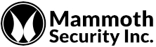 Mammoth Security Inc. Old Saybrook