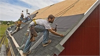 Sustainable Roofing & Solar Adan  Ibarra