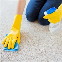 AB Rug Cleaning AB Rug Cleaning