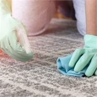 AandB Carpet Cleaners AandB  AandB Carpet Cleaners