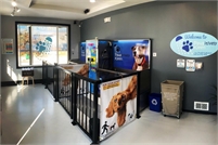 Seattle Canine Club - Dog Grooming & Self-Wash Jose  Rodriguez